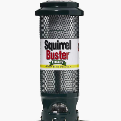 Squirrel Buster Legacy