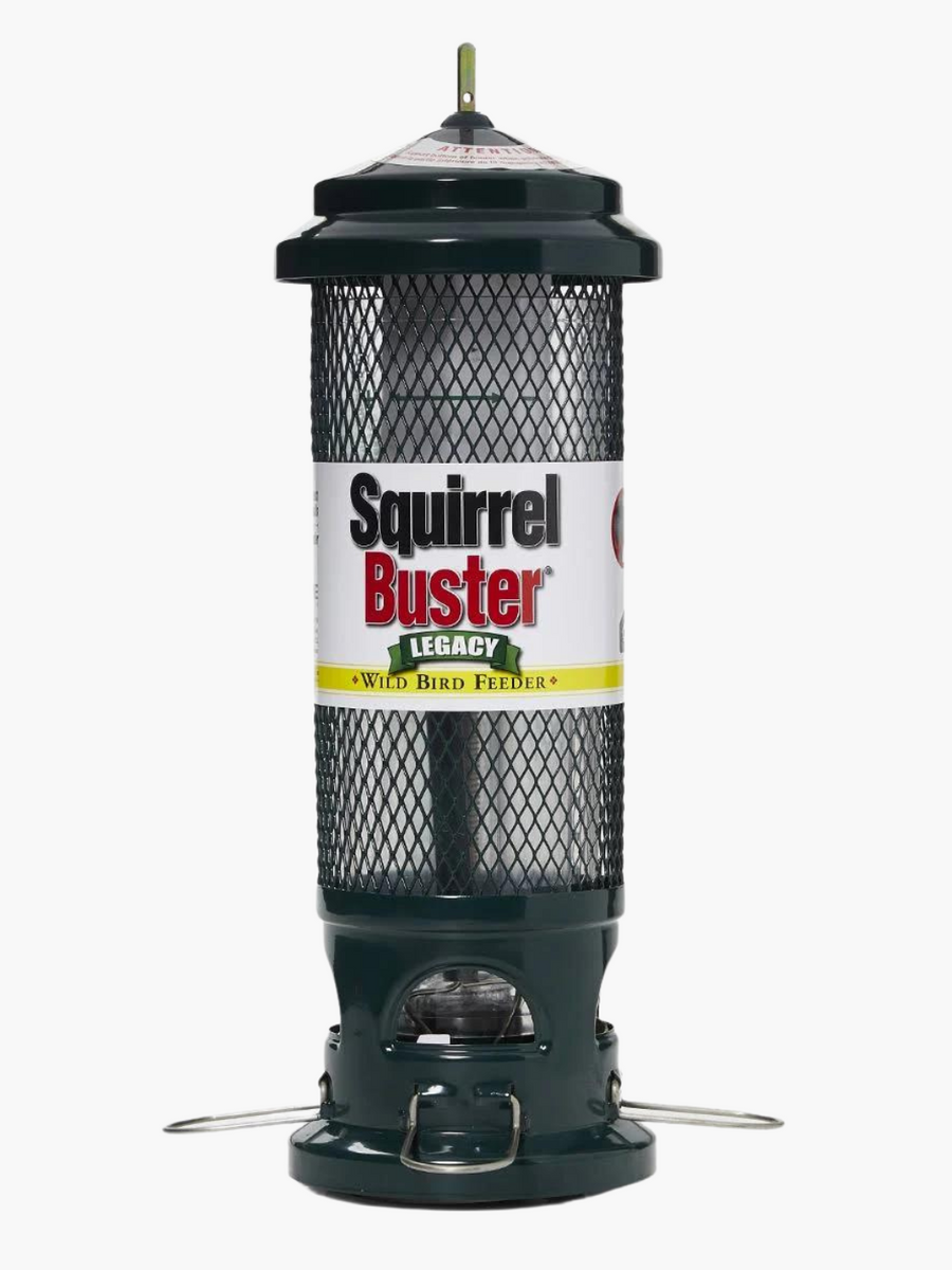 Squirrel Buster Legacy Gilligallou Bird