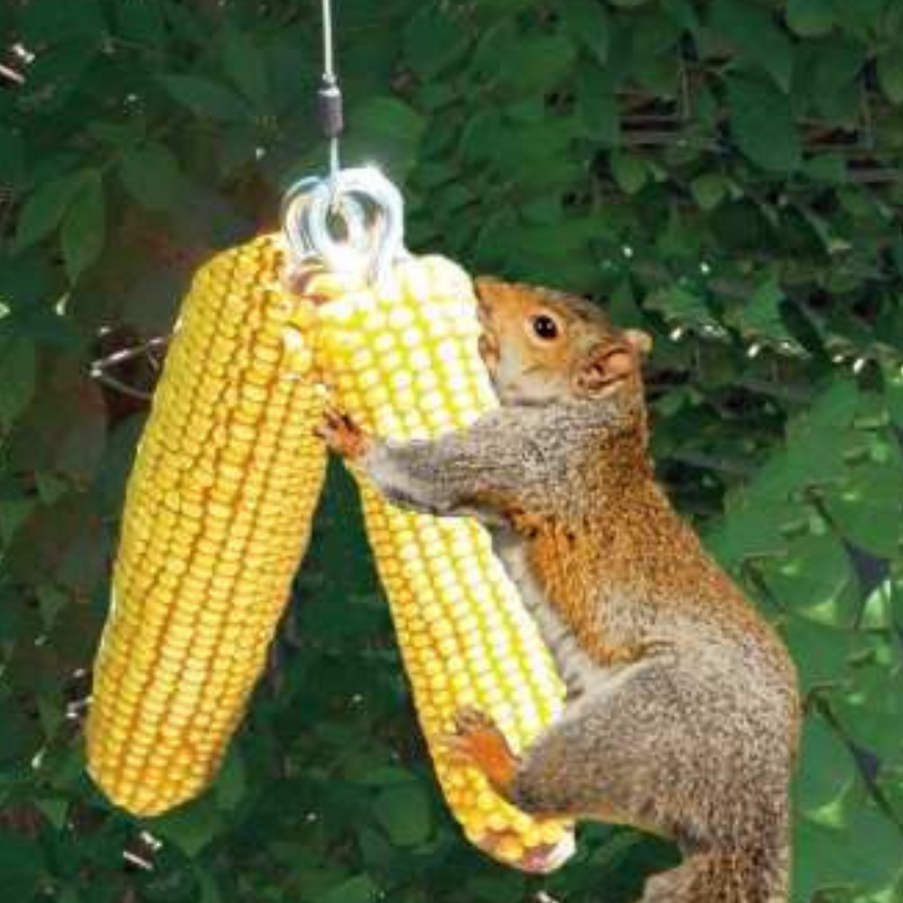 
                      
                        Squngee Deluxe Squirrel Feeder
                      
                    