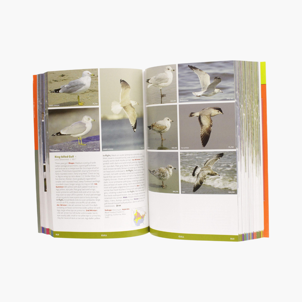 
                      
                        The Stokes Field Guide to The Birds of North America Book
                      
                    