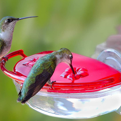 Gem Hummingbird Window Feeder - 4 oz