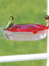 Jewel Box Window Hummingbird Feeder - 8 oz