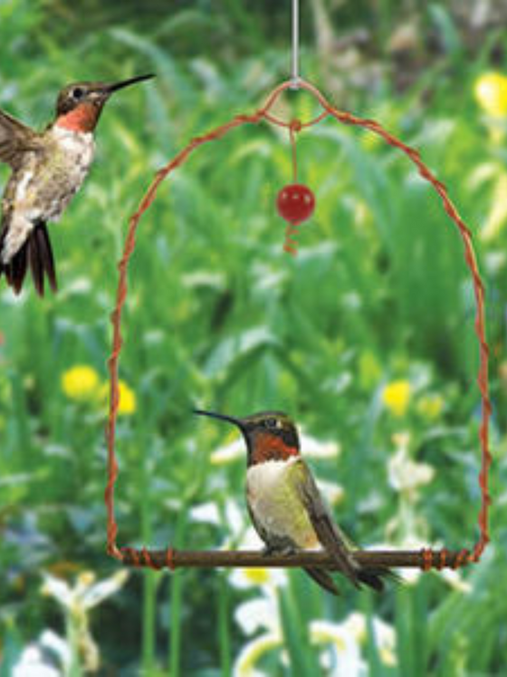 Abreuvoir colibri Jewel Box - Jewel Box hummingbird feeder