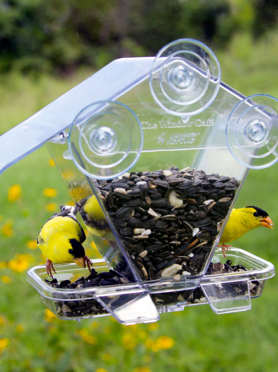Window Cafe Transparent Bird Feeder