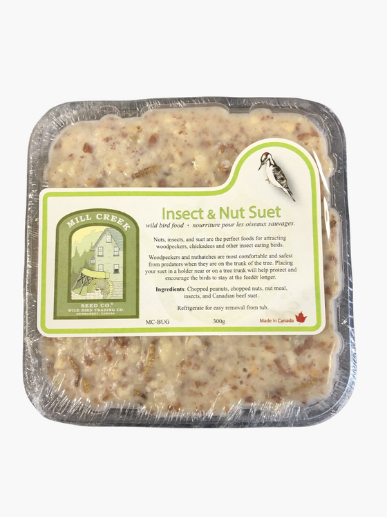 Premium Insect and Nut Suet