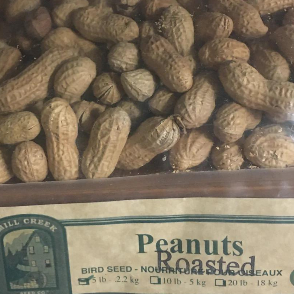 
                      
                        Roasted Peanuts in Shell
                      
                    