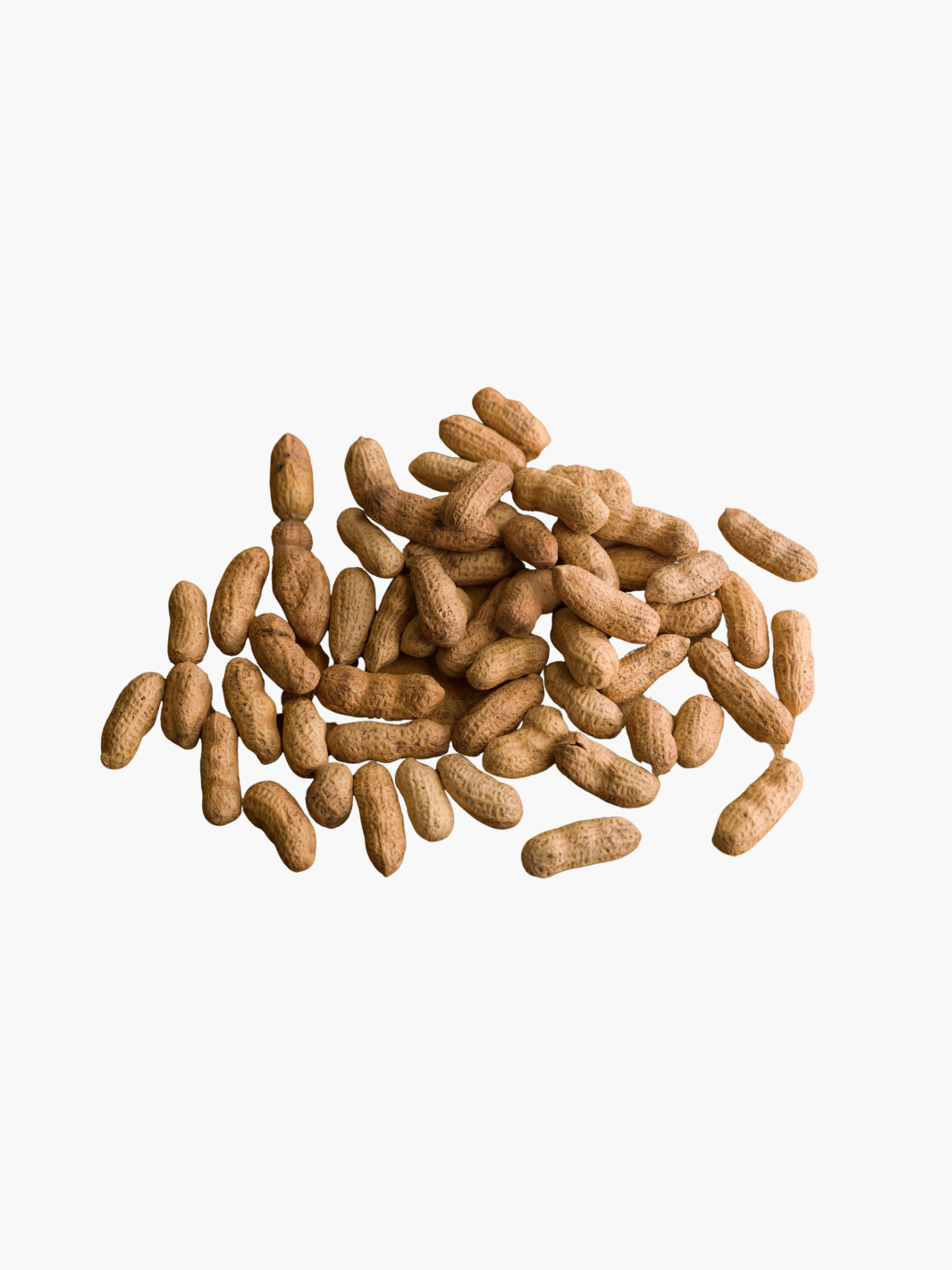 Bird Peanuts Shell Premium Roasted Peanuts in Shell for Wild Birds – Gilligallou Bird