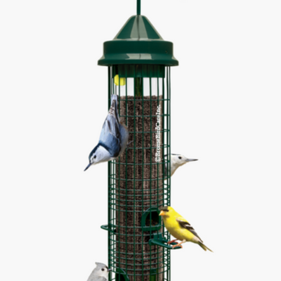 Squirrel Buster Classic Feeder