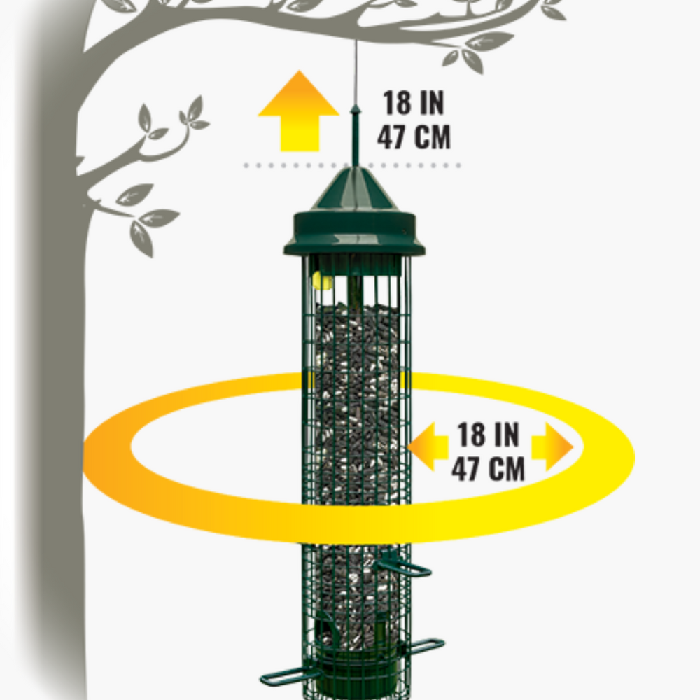 
                      
                        Squirrel Buster Classic Feeder
                      
                    