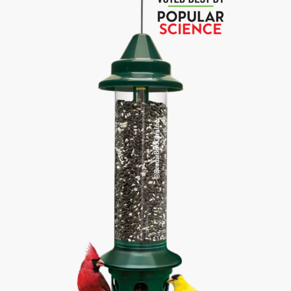 Squirrel Buster Plus Feeder - Keep Squirrels Away! – Gilligallou Bird