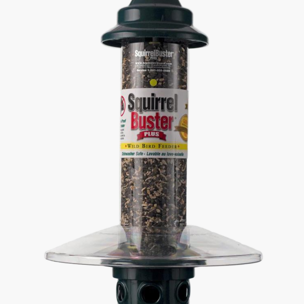 
                      
                        Squirrel Buster Plus Weather Guard
                      
                    