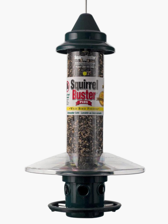 Squirrel Buster Plus Weather Guard