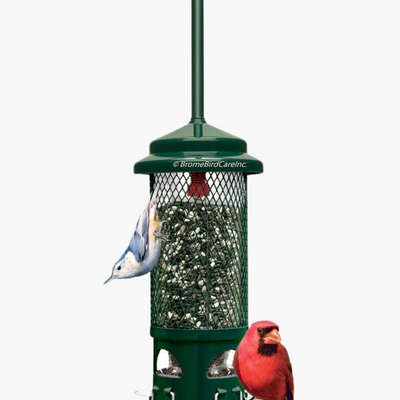 Squirrel Buster Standard Feeder