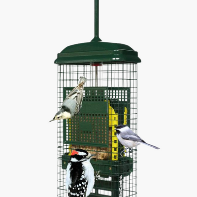 Squirrel Buster Suet Feeder